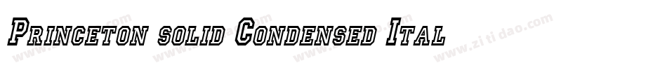 Princeton solid Condensed Italic字体转换
